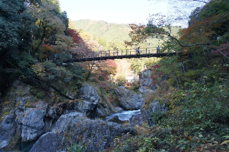 DSC08407.JPG DSC08407.JPG