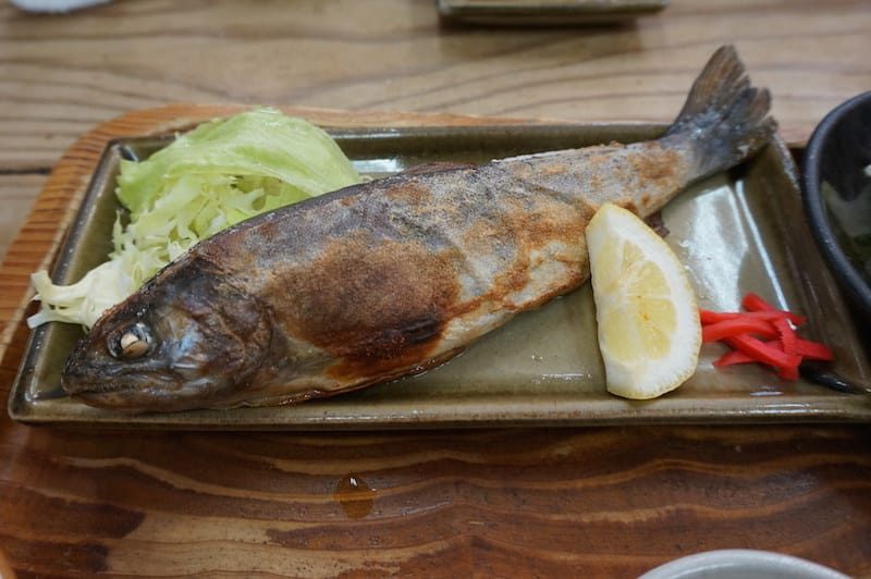 DSC08436.JPG DSC08436.JPG