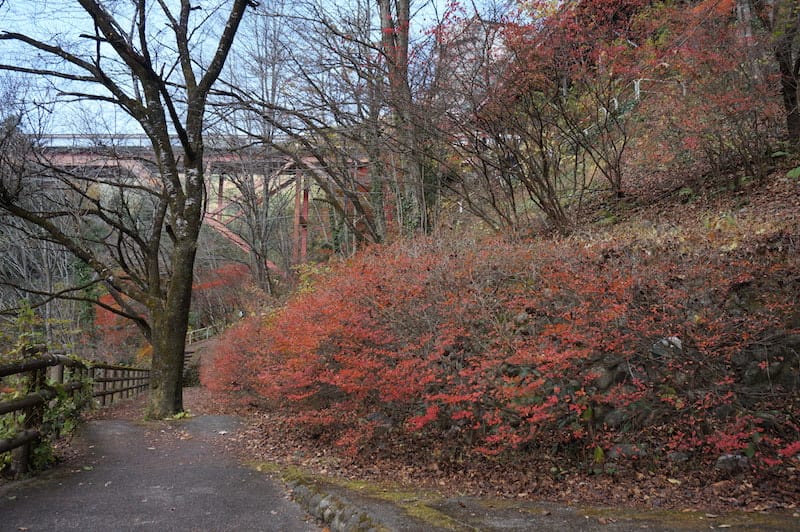 DSC08443.JPG DSC08443.JPG