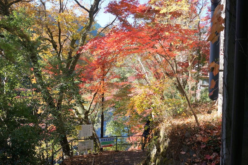 DSC08266.JPG DSC08266.JPG