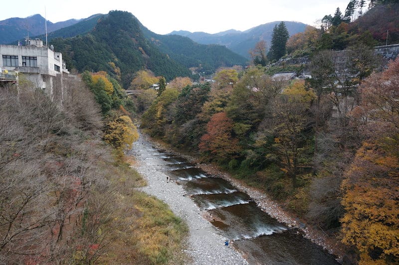 DSC08473.JPG DSC08473.JPG