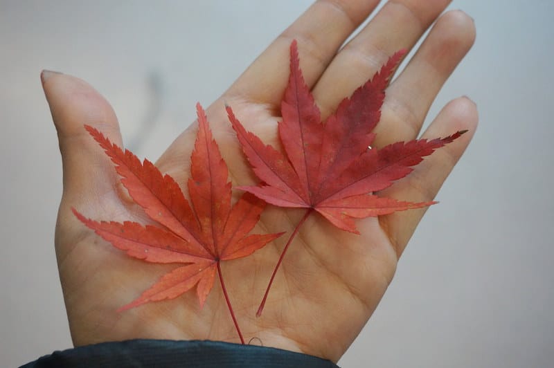 DSC08478.JPG DSC08478.JPG