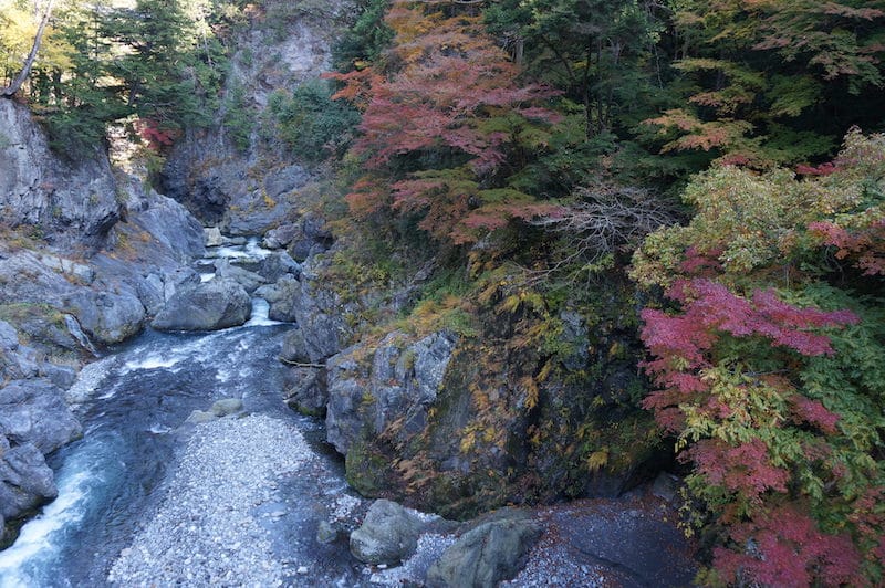 DSC08402.JPG DSC08402.JPG