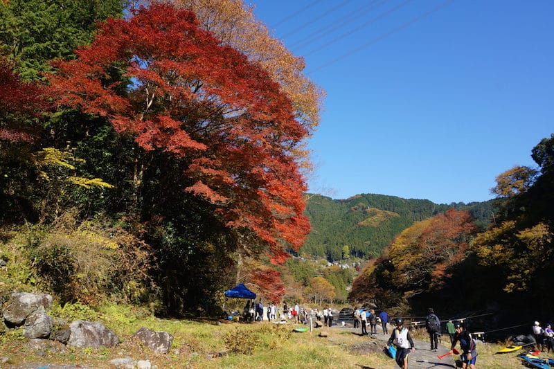 DSC08341.JPG DSC08341.JPG