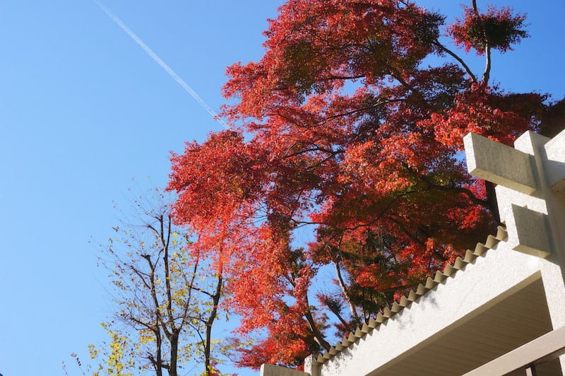 DSC08344.JPG DSC08344.JPG