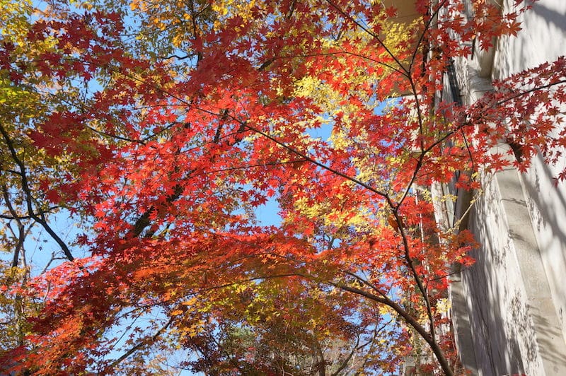 DSC08267.JPG DSC08267.JPG