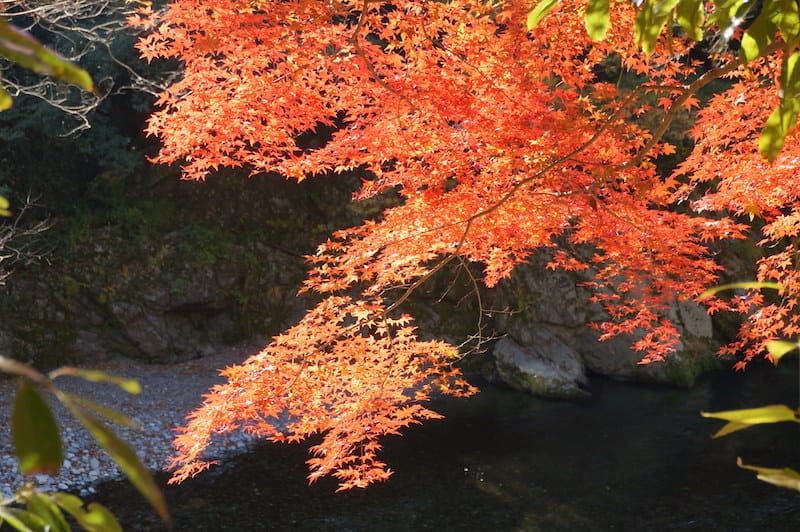 DSC08272.JPG DSC08272.JPG