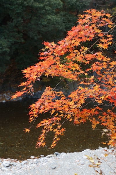 DSC08467.JPG DSC08467.JPG