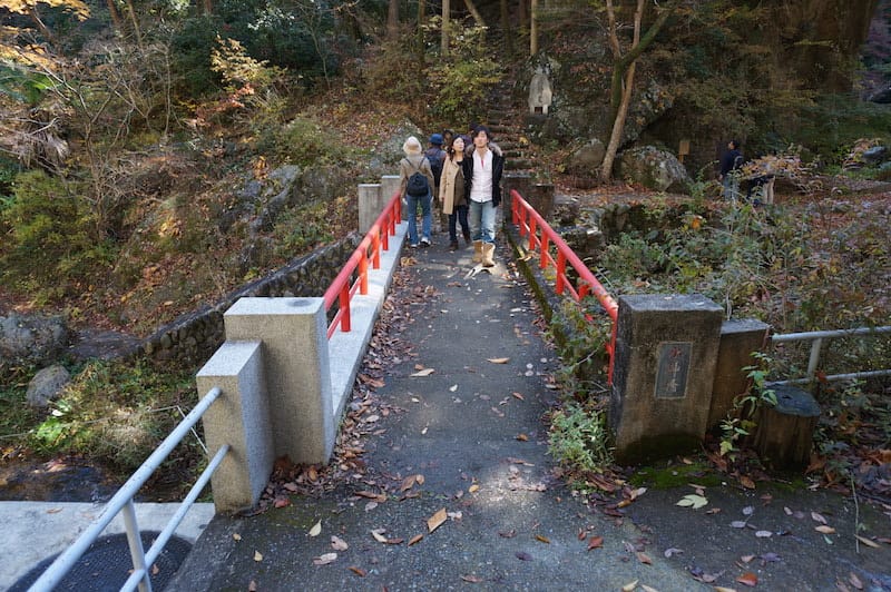 DSC08380.JPG DSC08380.JPG