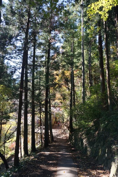 DSC08374.JPG DSC08374.JPG