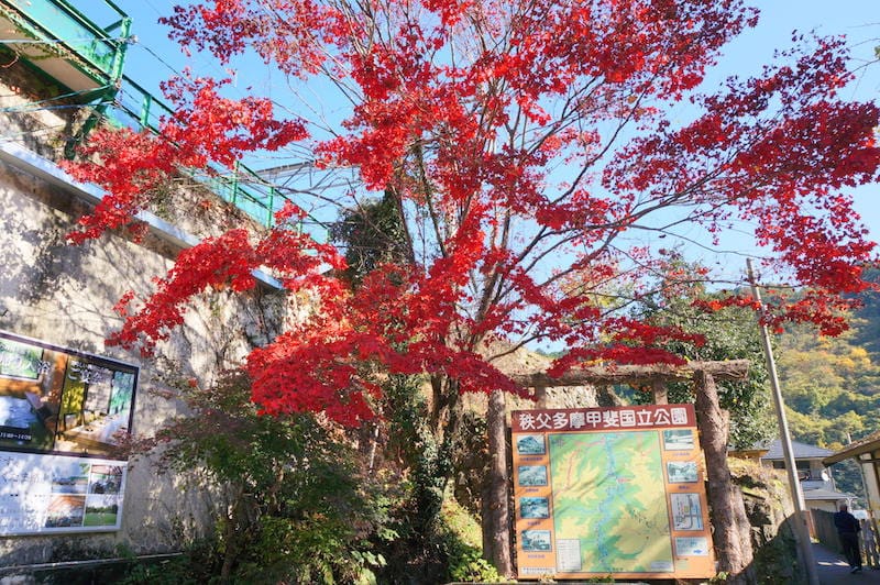 DSC08350.JPG DSC08350.JPG