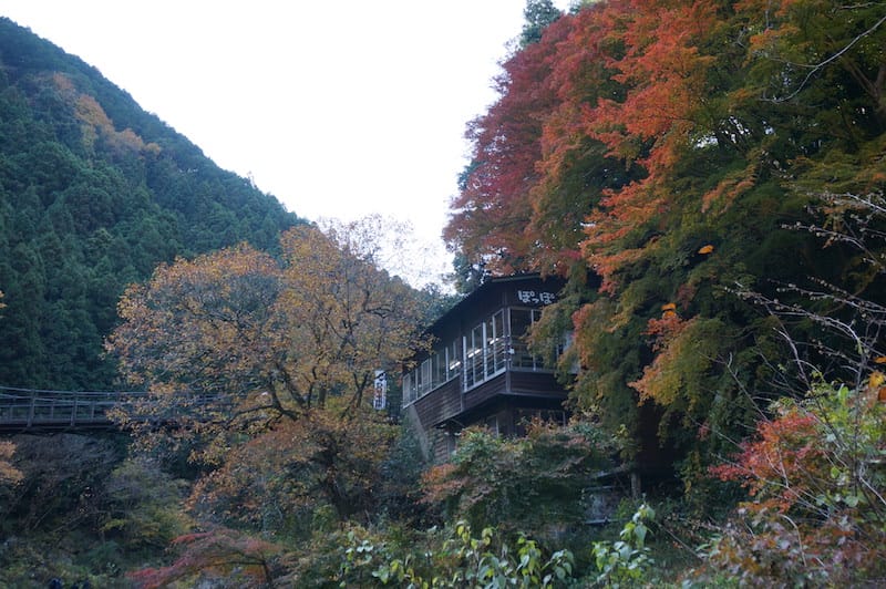 DSC08390.JPG DSC08390.JPG