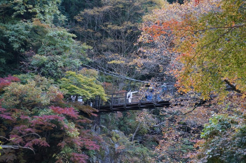 DSC08391.JPG DSC08391.JPG