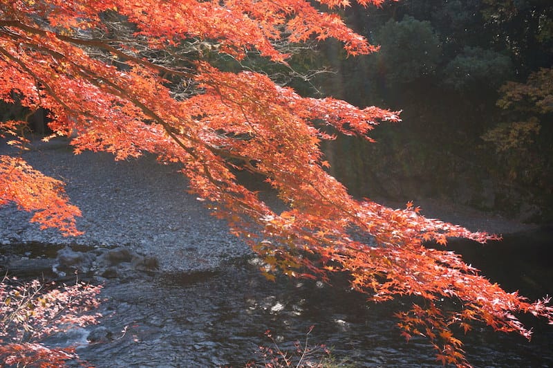 DSC08274.JPG DSC08274.JPG