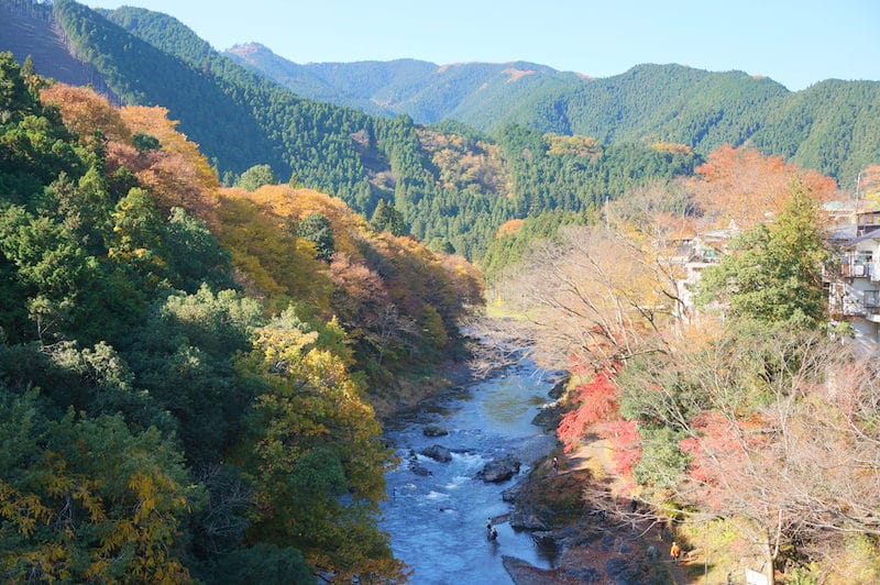 DSC08260.JPG DSC08260.JPG