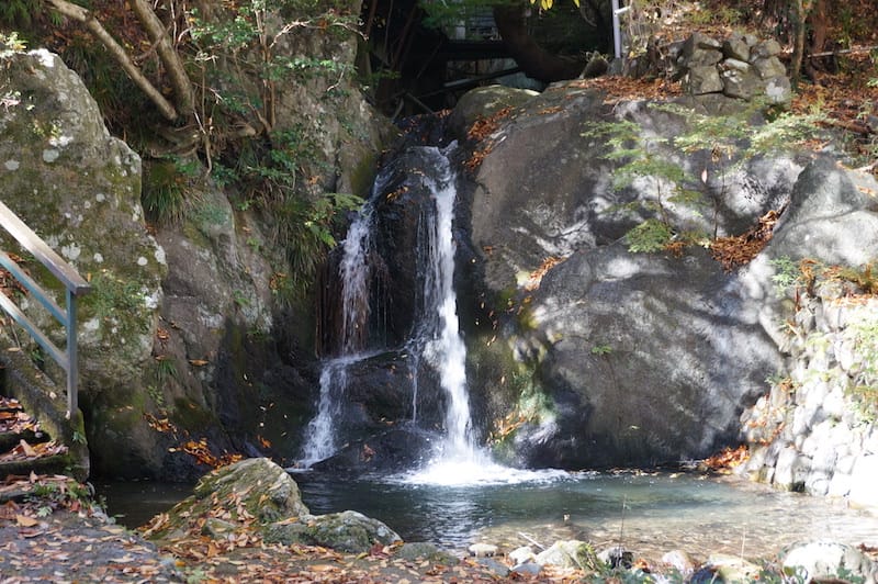 DSC08384.JPG DSC08384.JPG