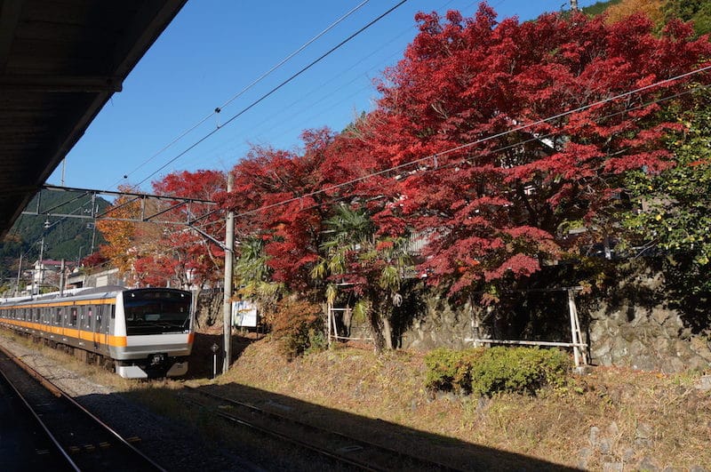 DSC08253.JPG DSC08253.JPG