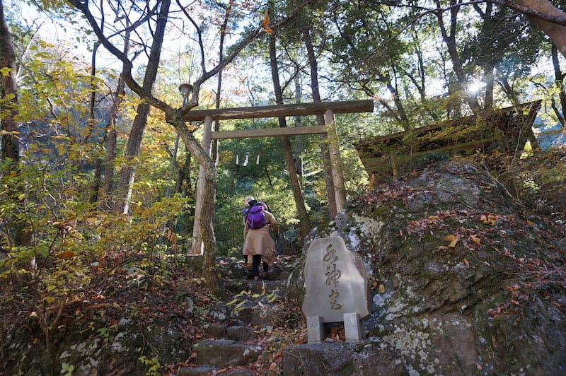 DSC08423.JPG DSC08423.JPG