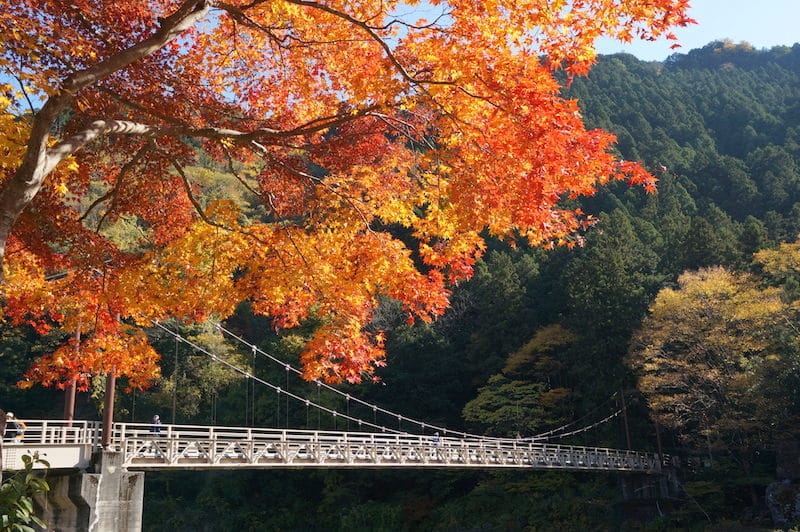 DSC08332.JPG DSC08332.JPG