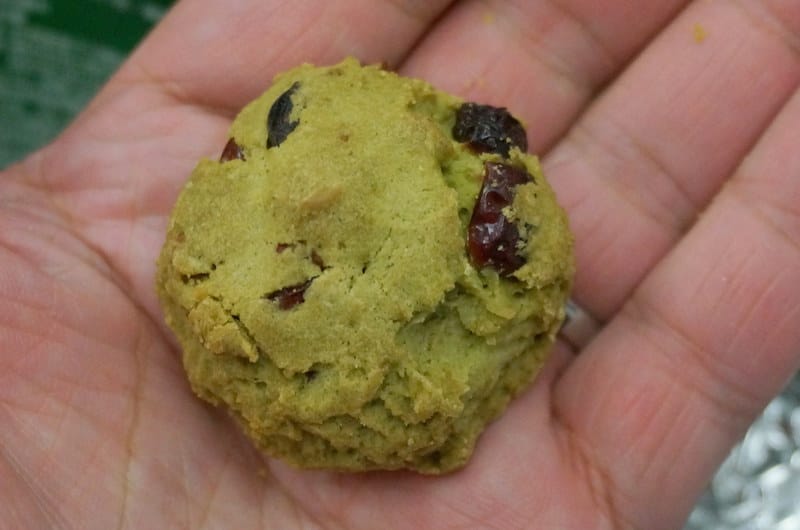 DSC00527.JPG DSC00527.JPG