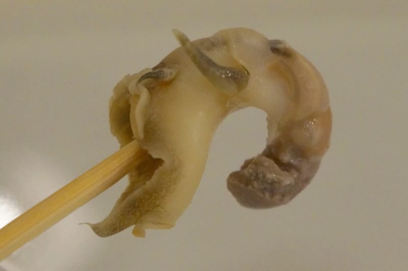 DSC09872.JPG DSC09872.JPG