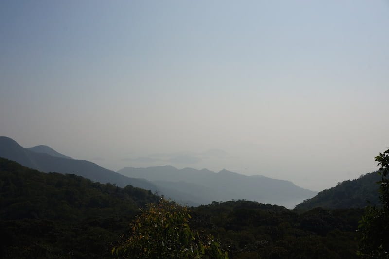 DSC00280.JPG DSC00280.JPG