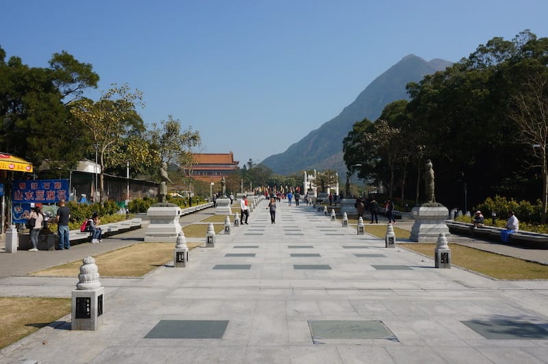 DSC00245.JPG DSC00245.JPG