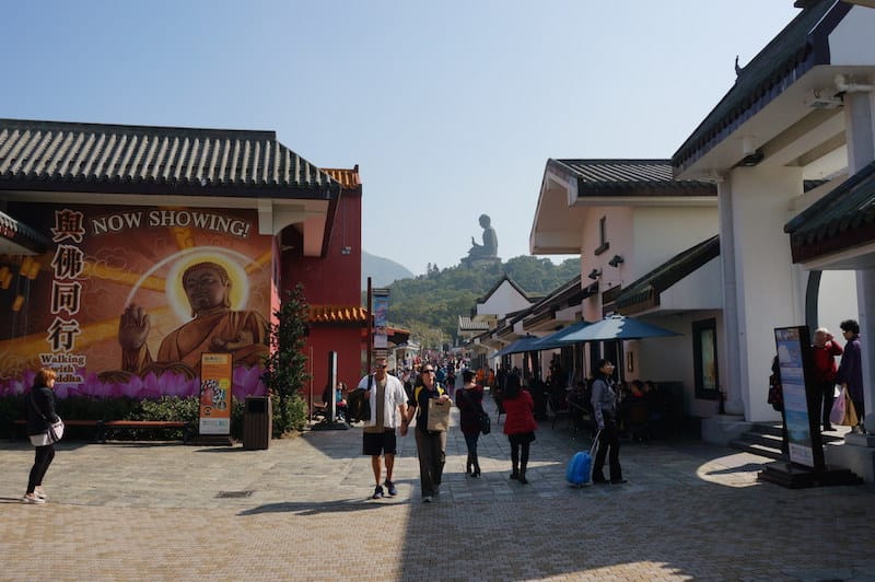 DSC00223.JPG DSC00223.JPG