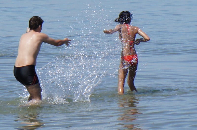 DSC00951.JPG DSC00951.JPG