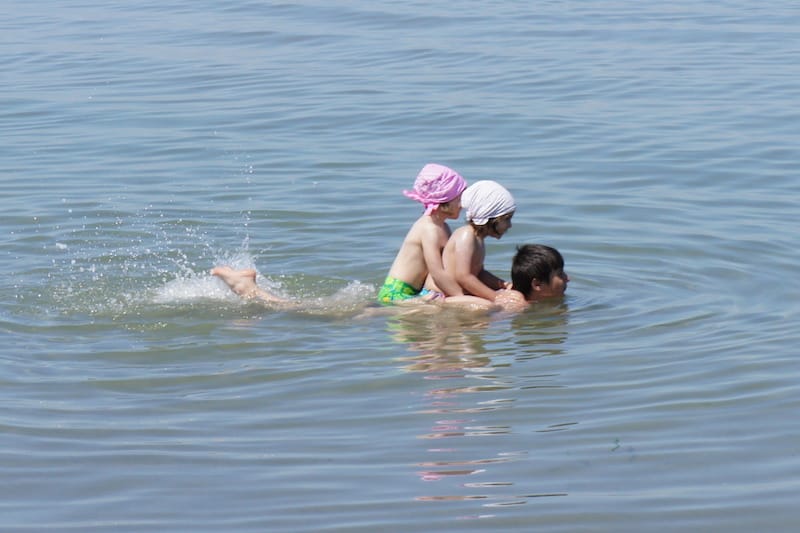 DSC00954.JPG DSC00954.JPG