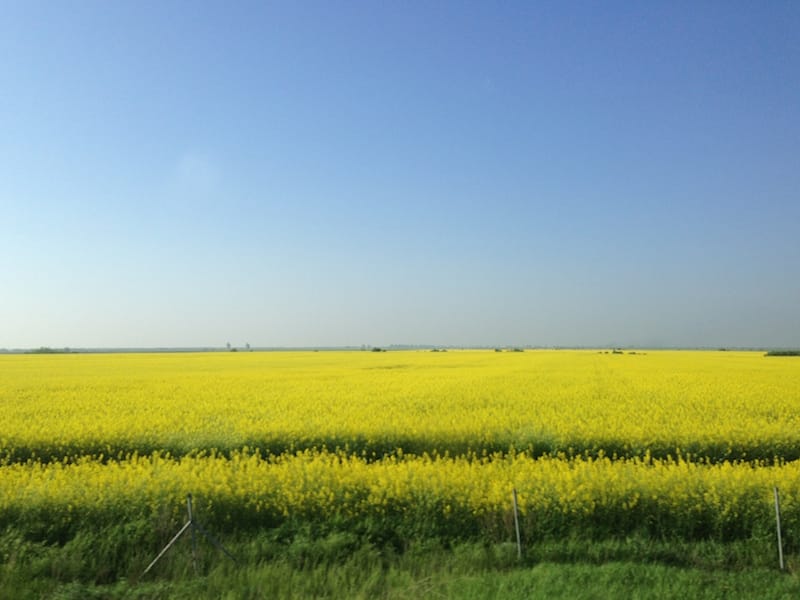 DSC00757.JPG DSC00757.JPG