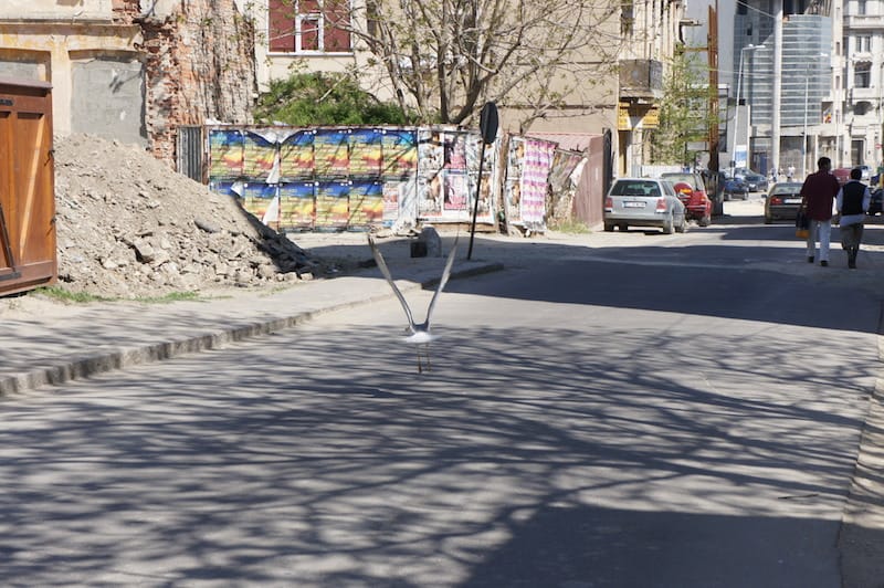 DSC01011.JPG DSC01011.JPG