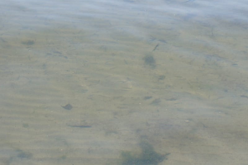 DSC00882.JPG DSC00882.JPG