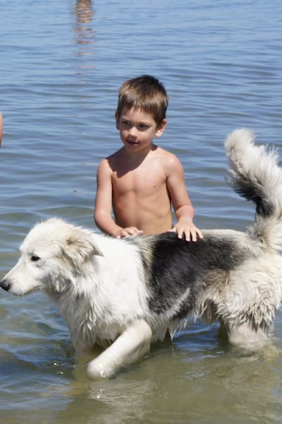 DSC00832.JPG DSC00832.JPG