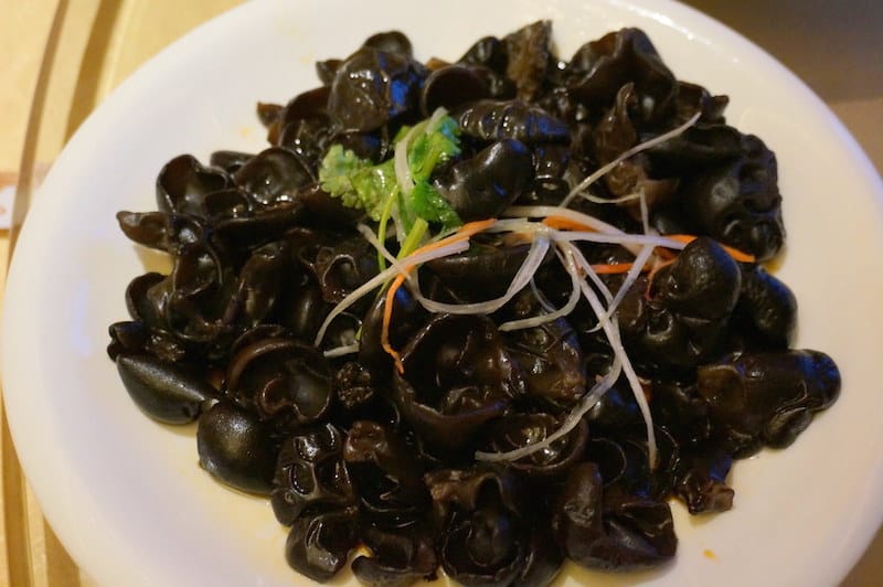 DSC01176.JPG DSC01176.JPG