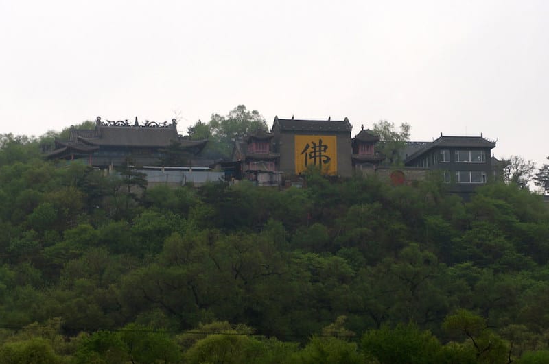 DSC01903.JPG DSC01903.JPG