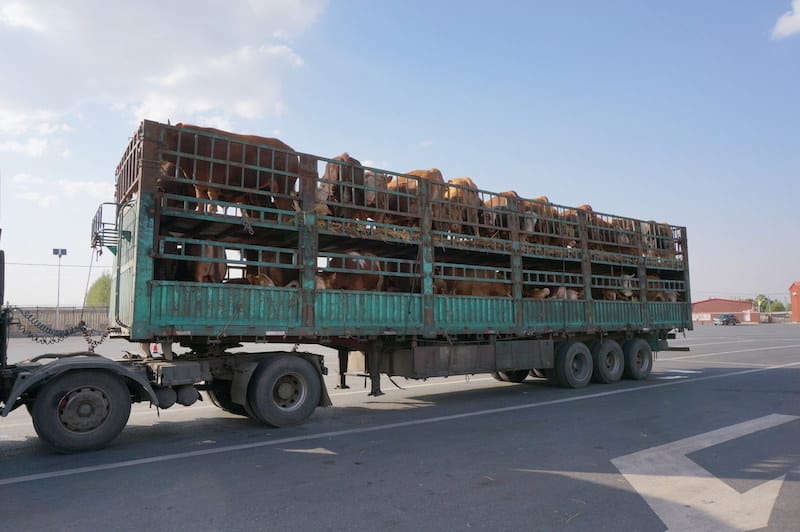 DSC02103.JPG DSC02103.JPG