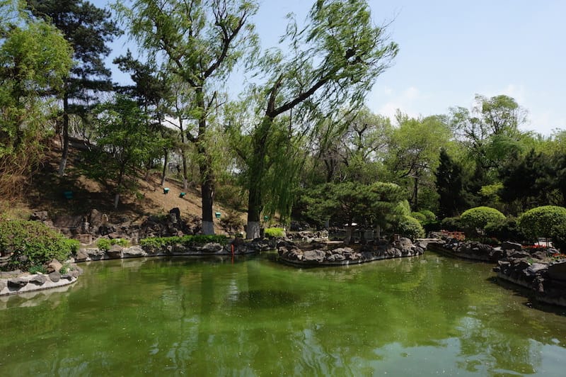 DSC02073.JPG DSC02073.JPG