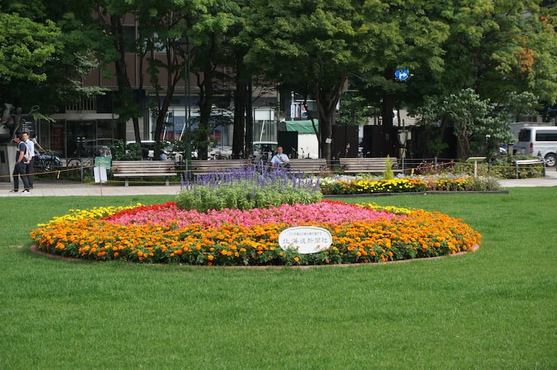 DSC04154.JPG DSC04154.JPG