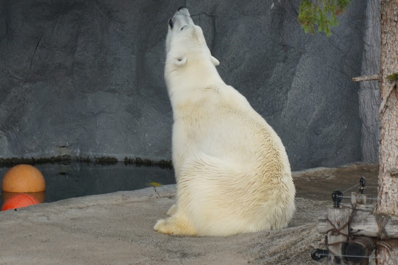 DSC04305.JPG DSC04305.JPG