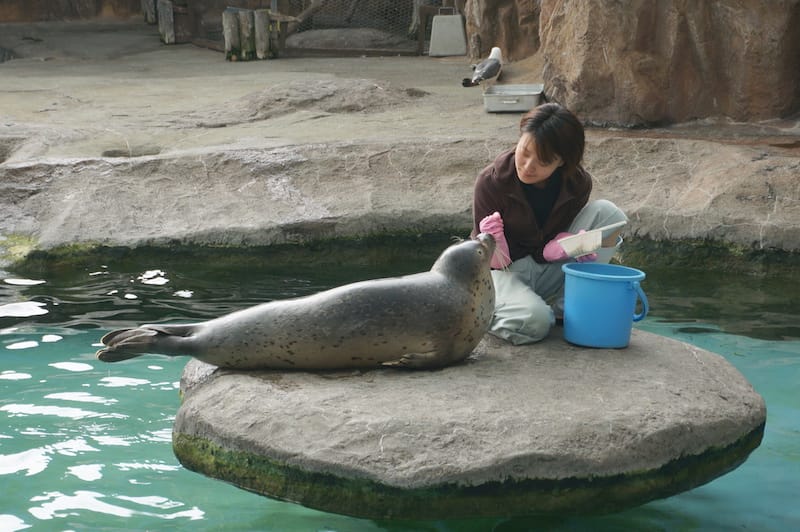 DSC04327.JPG DSC04327.JPG