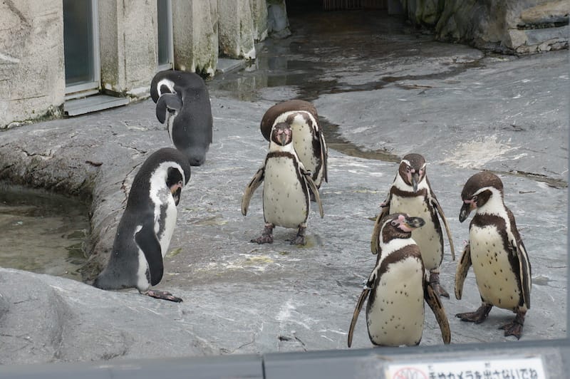 DSC04352.JPG DSC04352.JPG