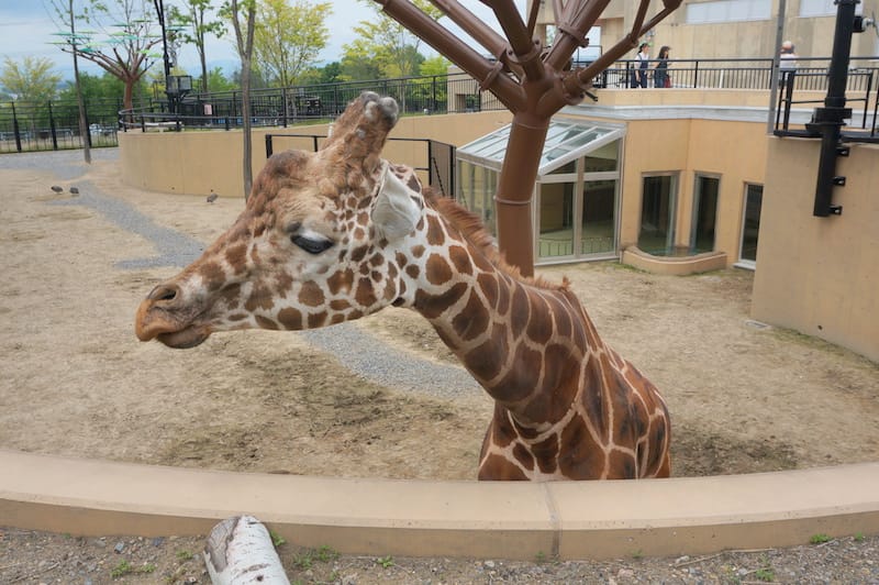 DSC04214.JPG DSC04214.JPG