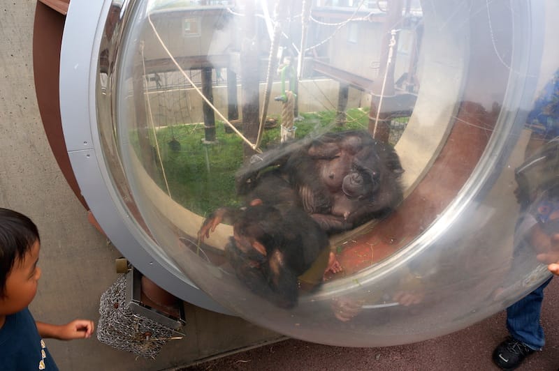 DSC04268.JPG DSC04268.JPG