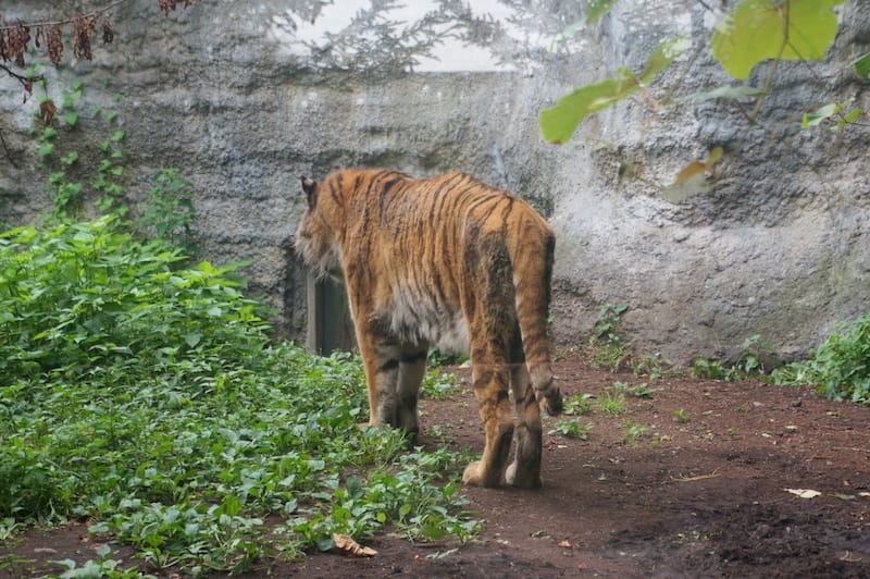 DSC04289.JPG DSC04289.JPG