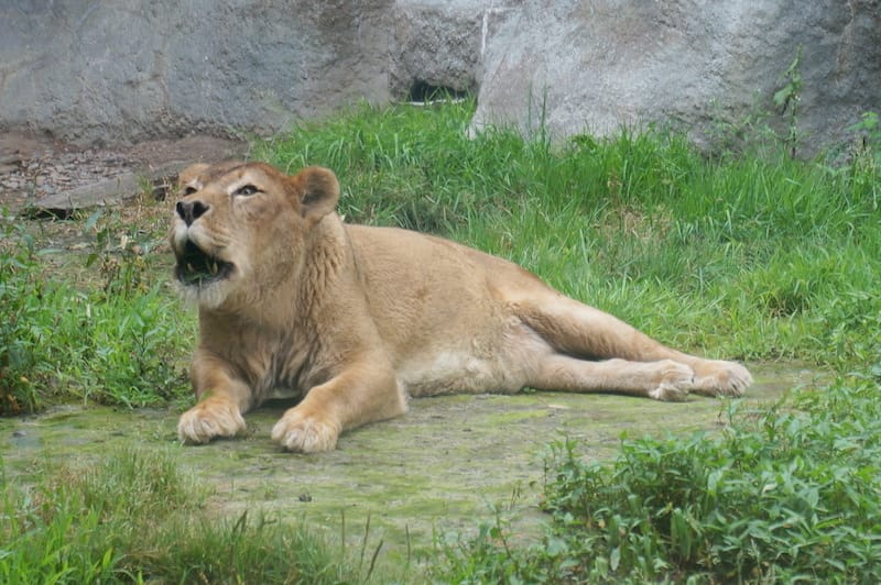 DSC04288.JPG DSC04288.JPG