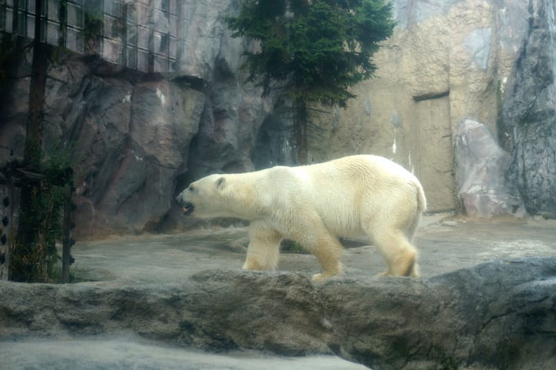 DSC04310.JPG DSC04310.JPG