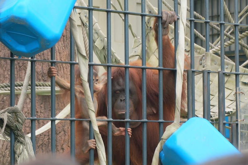 DSC04243.JPG DSC04243.JPG