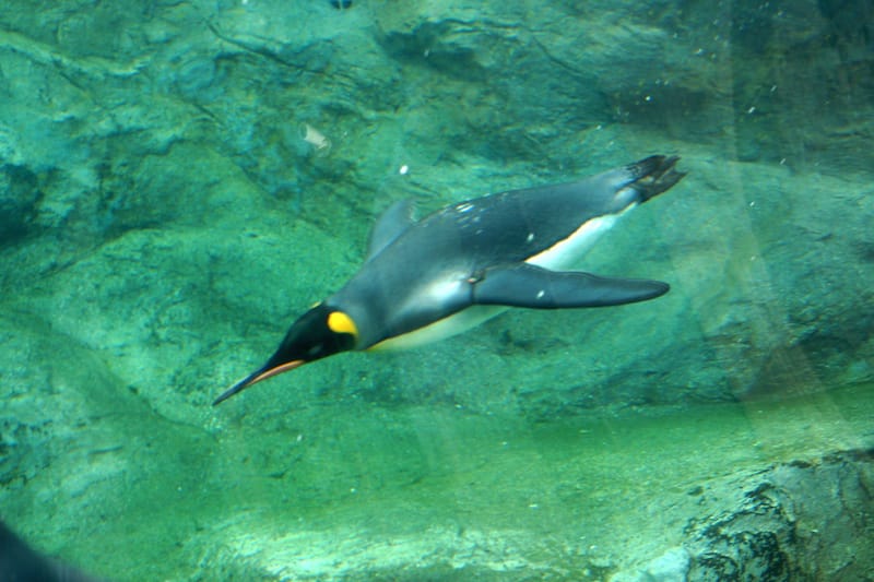 DSC04337.JPG DSC04337.JPG