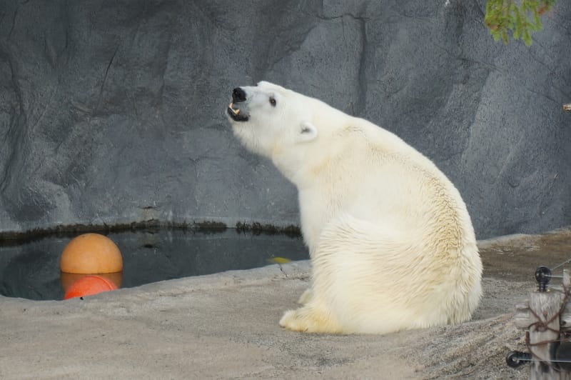 DSC04304.JPG DSC04304.JPG